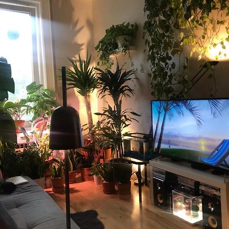 Urban Jungle Oasis In Queens! Apartment New York Exterior photo