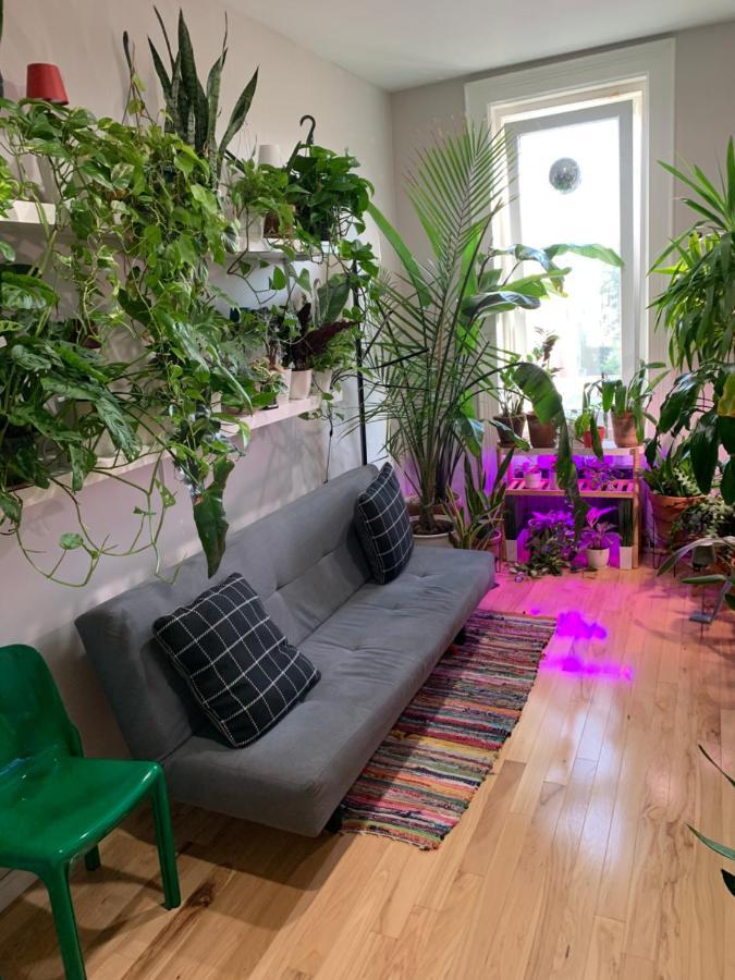 Urban Jungle Oasis In Queens! Apartment New York Exterior photo