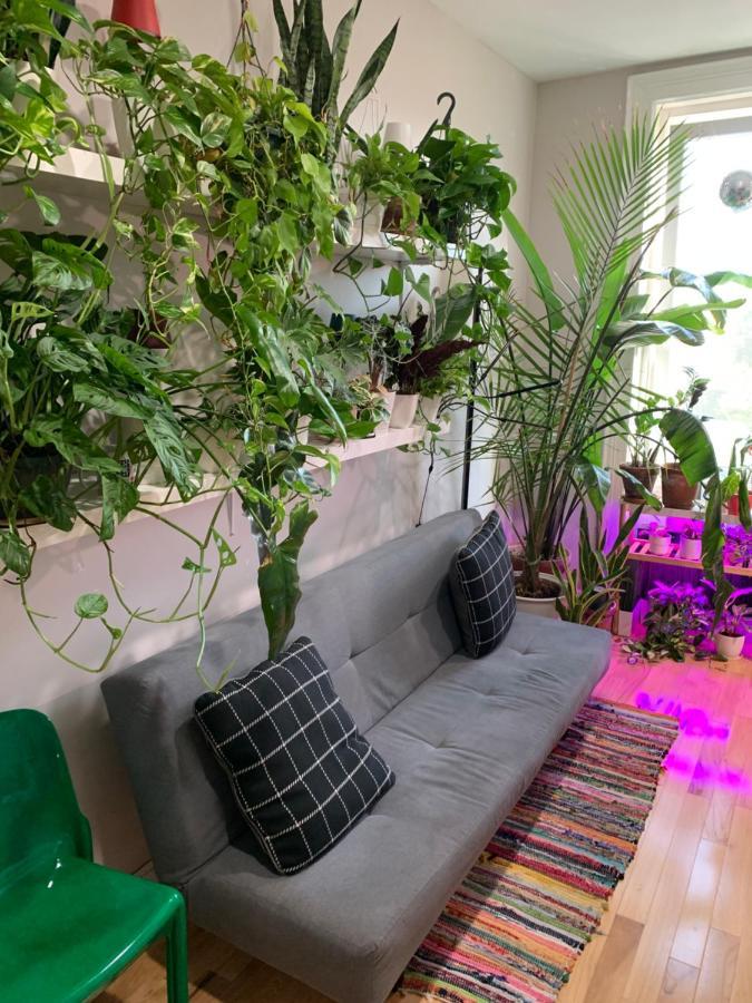Urban Jungle Oasis In Queens! Apartment New York Exterior photo