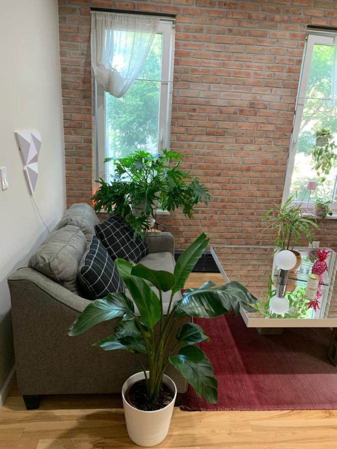 Urban Jungle Oasis In Queens! Apartment New York Exterior photo