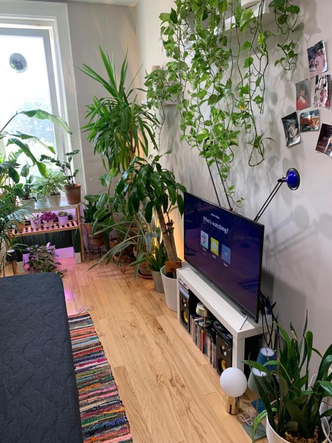 Urban Jungle Oasis In Queens! Apartment New York Exterior photo